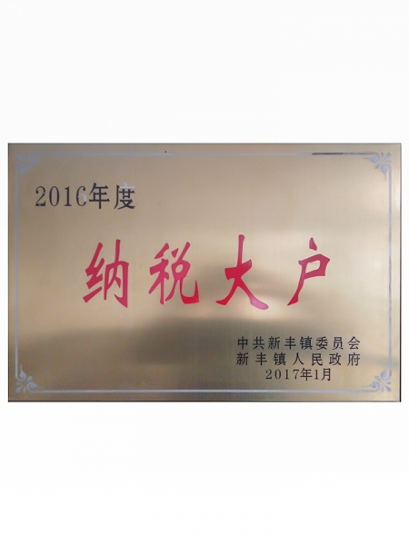 2016年度納稅大戶