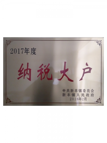 2017年度納稅大戶